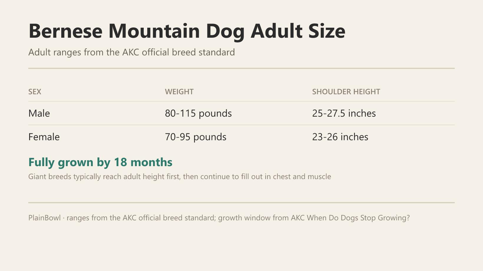 Bernese Mountain Dog adult size and growth chart — male and female weight and shoulder-height ranges plus when this breed is fully grown