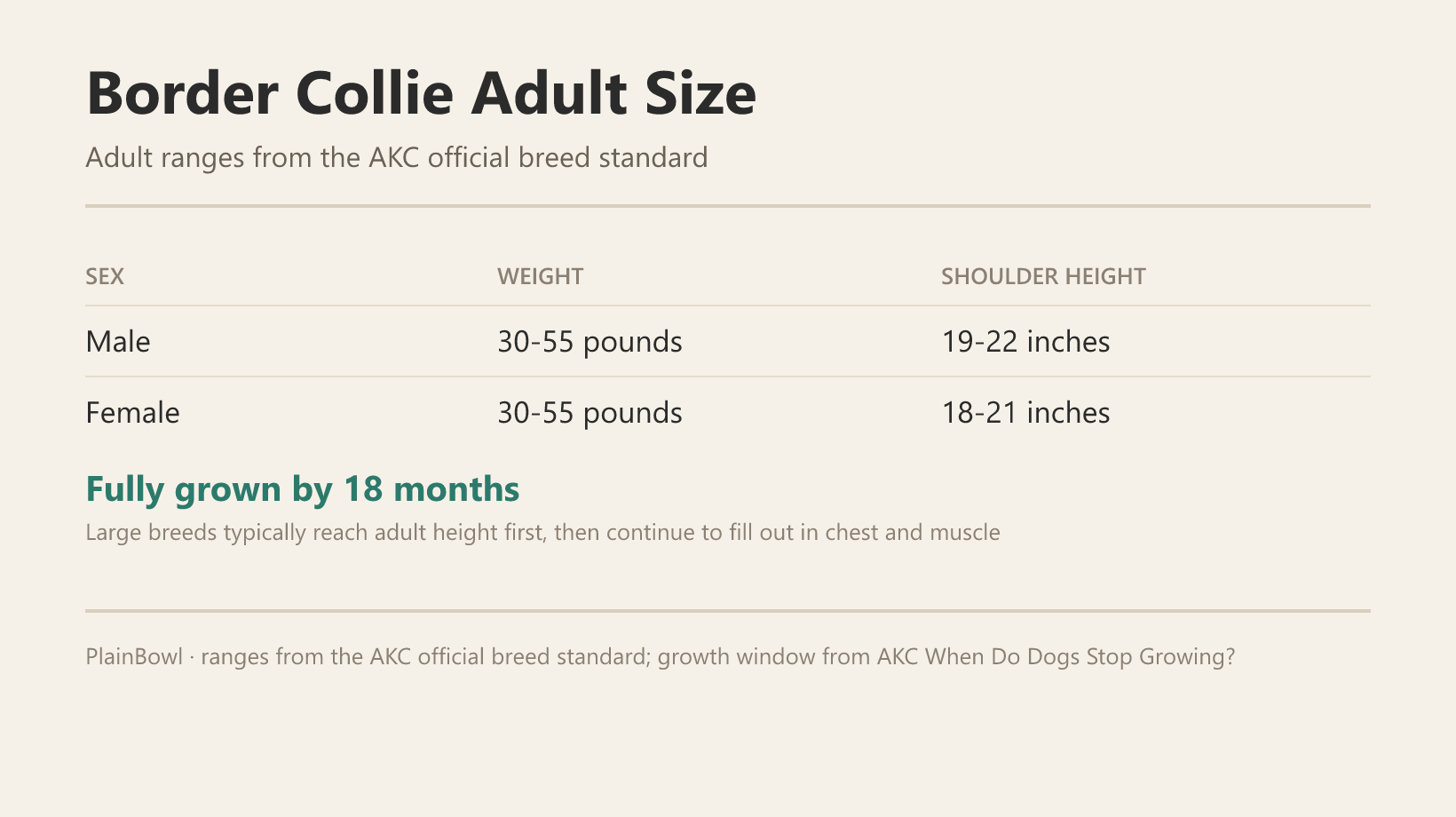 Border Collie adult size and growth chart — male and female weight and shoulder-height ranges plus when this breed is fully grown