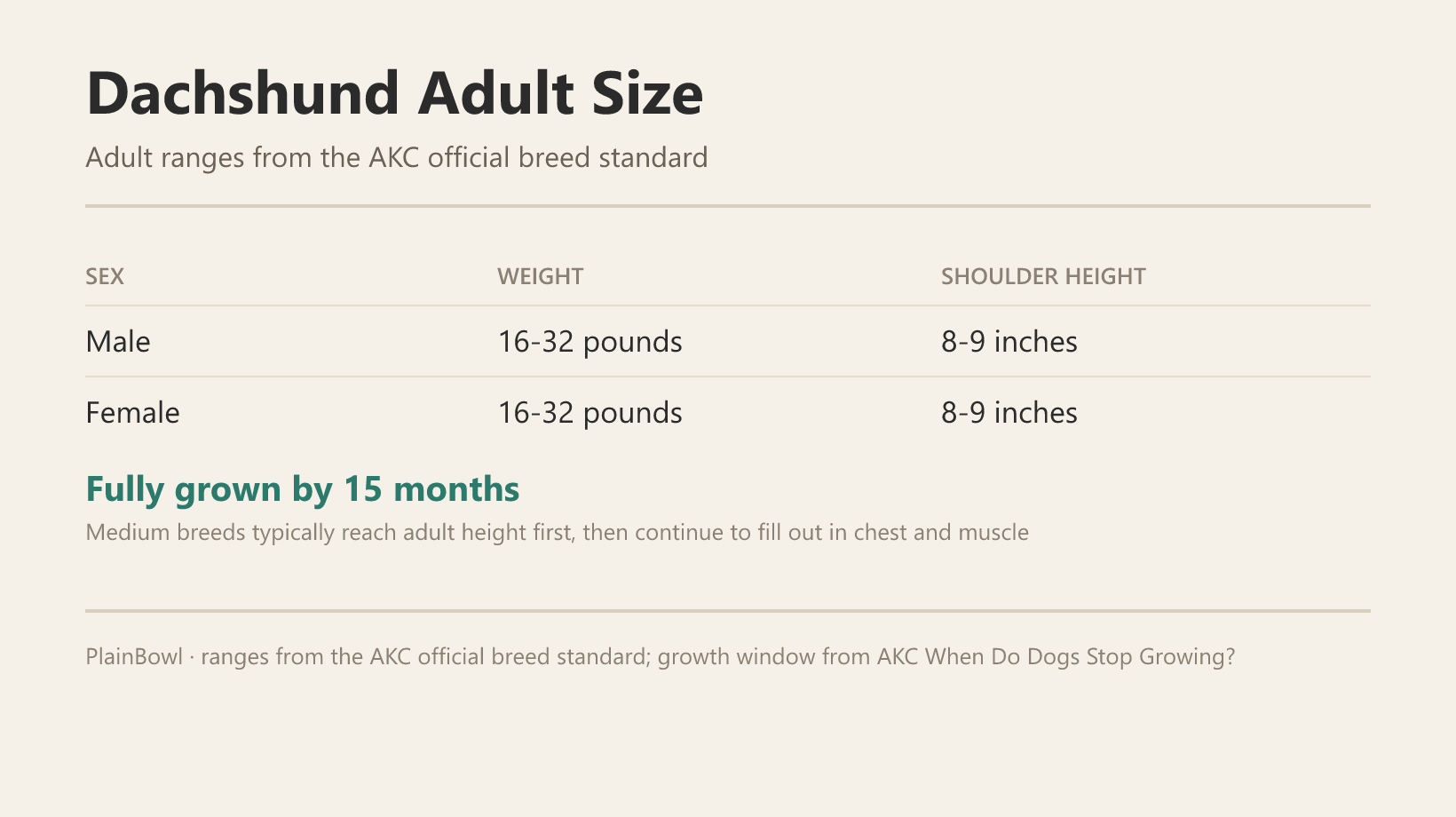 Dachshund adult size and growth chart — male and female weight and shoulder-height ranges plus when this breed is fully grown