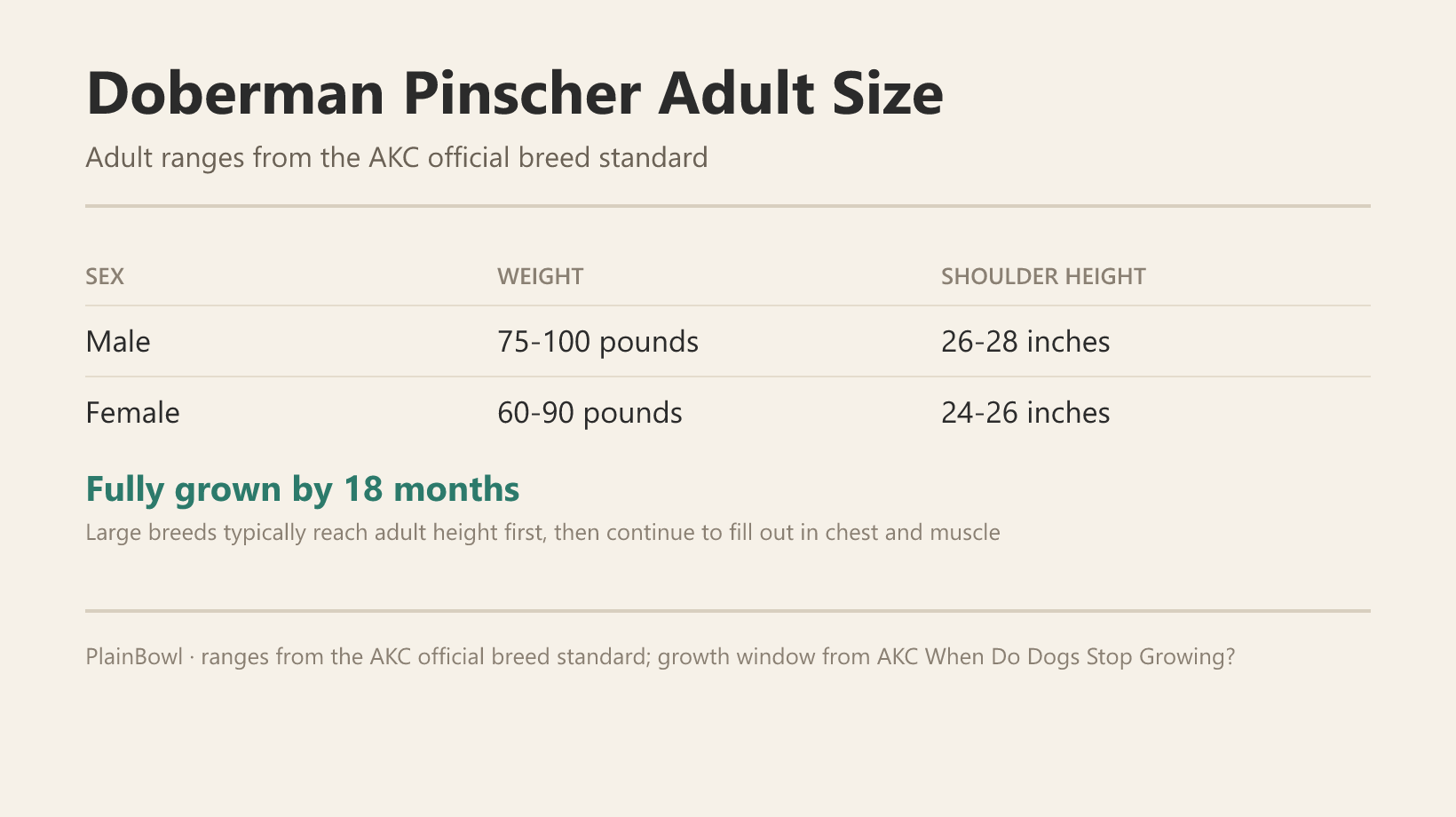 Doberman Pinscher adult size and growth chart — male and female weight and shoulder-height ranges plus when this breed is fully grown