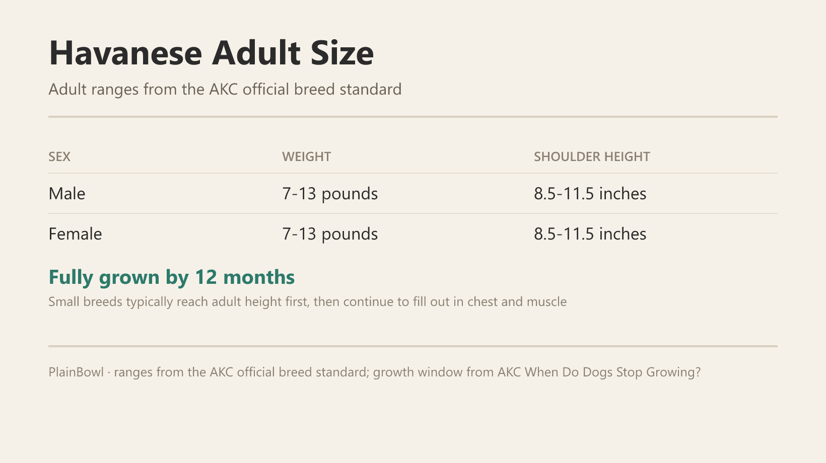 Havanese adult size and growth chart — male and female weight and shoulder-height ranges plus when this breed is fully grown