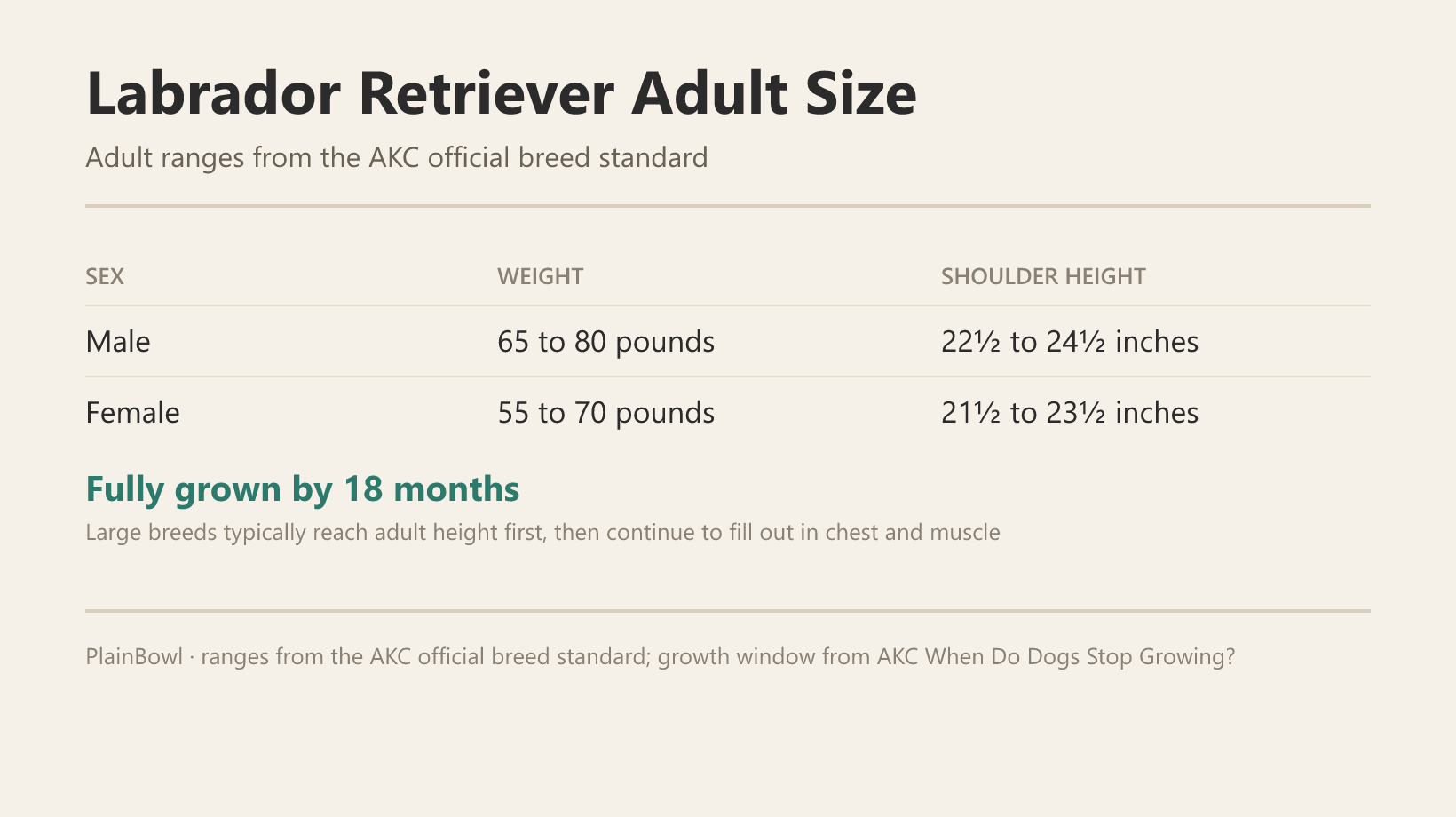 Labrador Retriever adult size and growth chart — male and female weight and shoulder-height ranges plus when this breed is fully grown