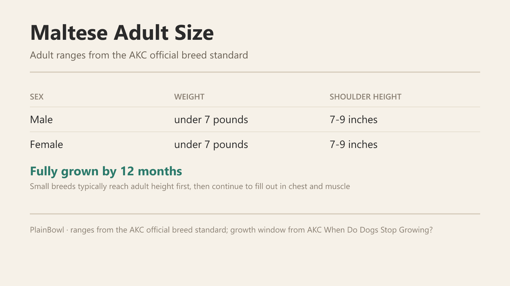 Maltese adult size and growth chart — male and female weight and shoulder-height ranges plus when this breed is fully grown